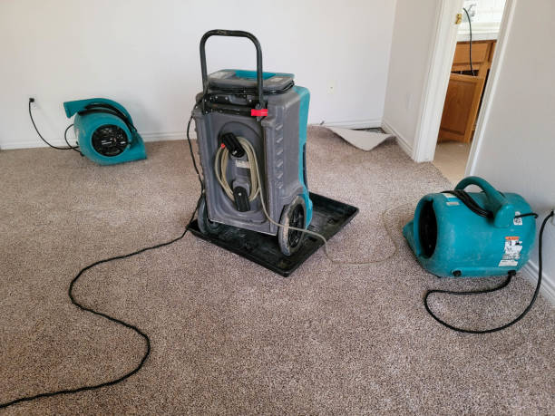 Best Carpet water damage restoration  in Iowa City, IA