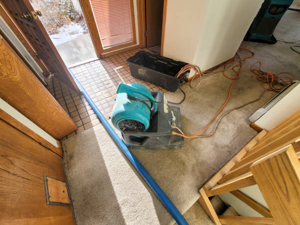 Best 24-hour water damage restoration  in Iowa City, IA