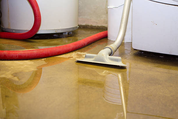 Carpet water damage restoration in IA