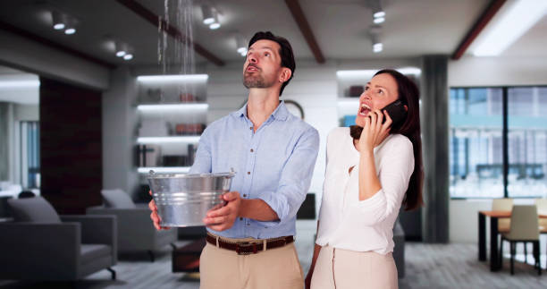 Best Flooded house restoration  in Iowa City, IA